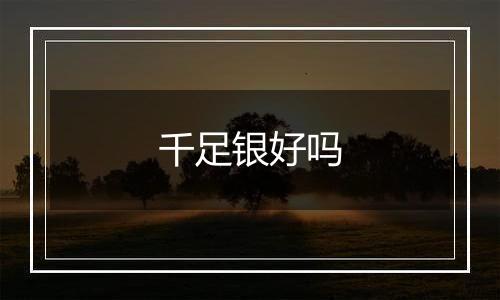 千足银好吗