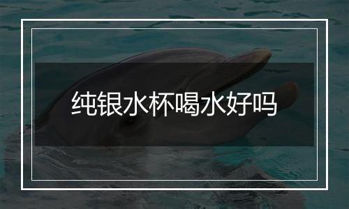纯银水杯喝水好吗