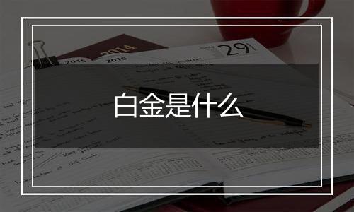 白金是什么