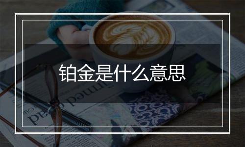 铂金是什么意思