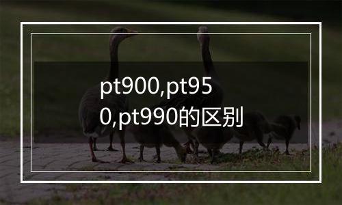 pt900,pt950,pt990的区别