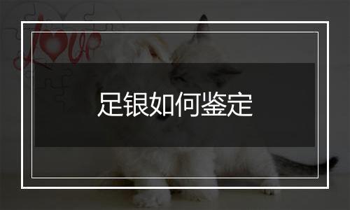 足银如何鉴定