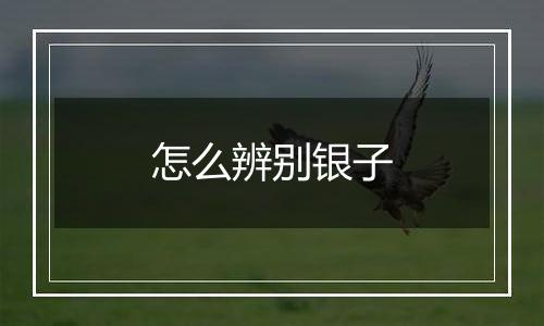 怎么辨别银子