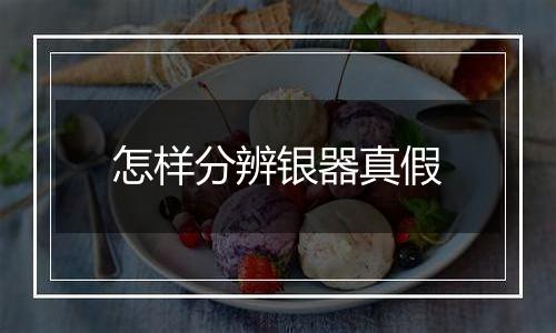 怎样分辨银器真假