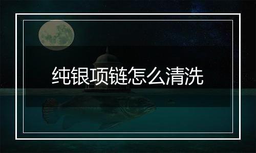 纯银项链怎么清洗