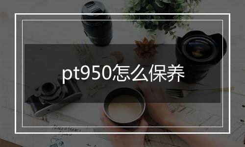 pt950怎么保养
