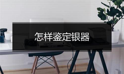 怎样鉴定银器