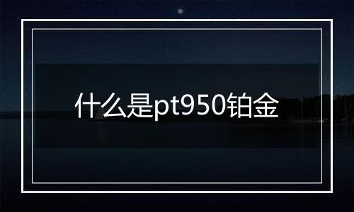 什么是pt950铂金