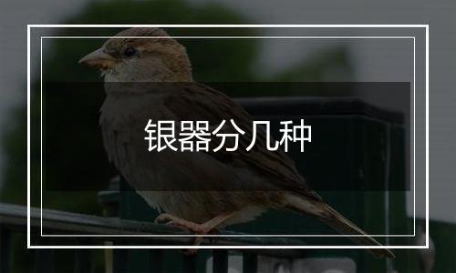 银器分几种
