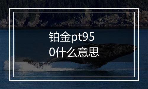 铂金pt950什么意思