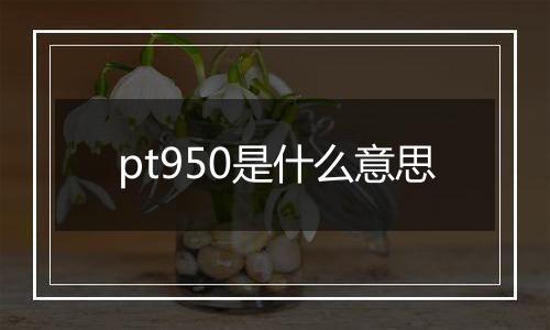 pt950是什么意思