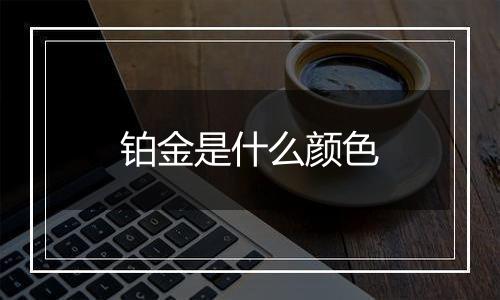 铂金是什么颜色