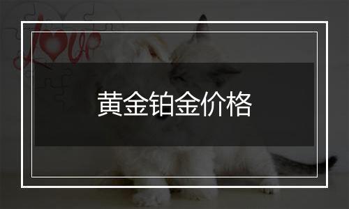 黄金铂金价格