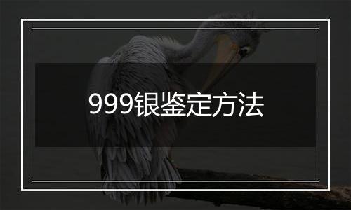 999银鉴定方法