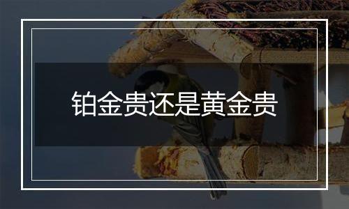 铂金贵还是黄金贵