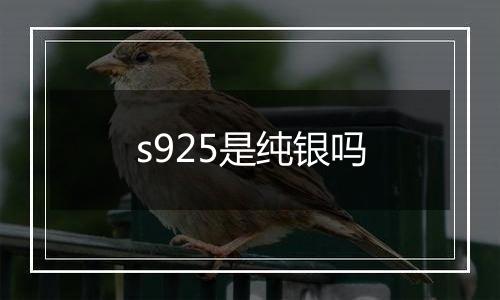 s925是纯银吗