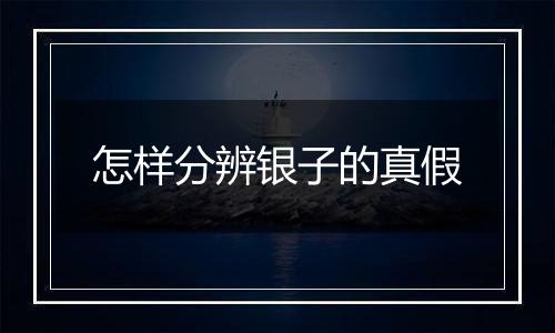 怎样分辨银子的真假