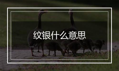 纹银什么意思