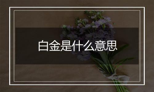白金是什么意思