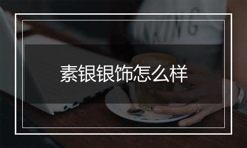 素银银饰怎么样