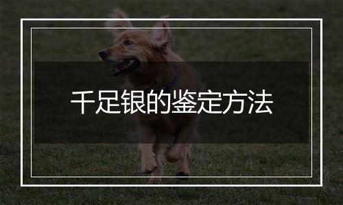 千足银的鉴定方法