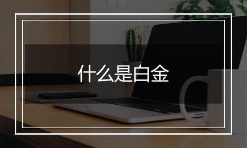 什么是白金