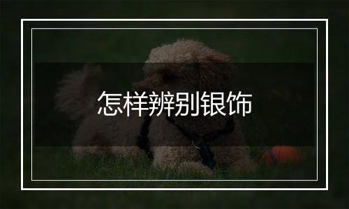怎样辨别银饰