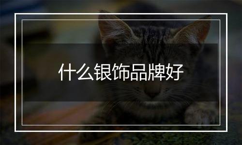 什么银饰品牌好