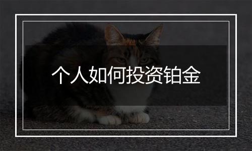 个人如何投资铂金