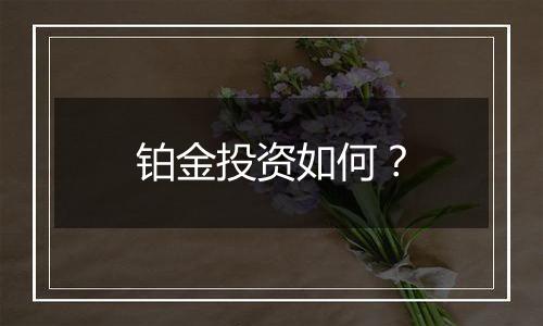 铂金投资如何？