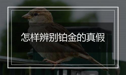 怎样辨别铂金的真假