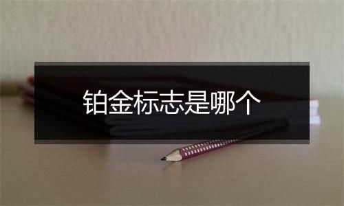 铂金标志是哪个