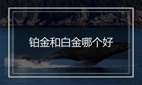 铂金和白金哪个好