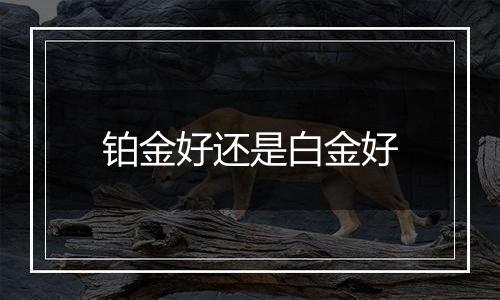 铂金好还是白金好