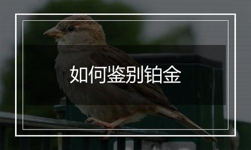如何鉴别铂金