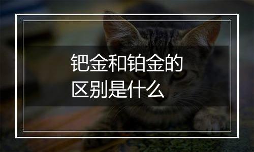 钯金和铂金的区别是什么