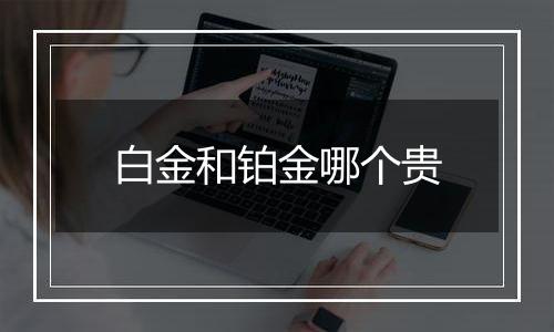 白金和铂金哪个贵