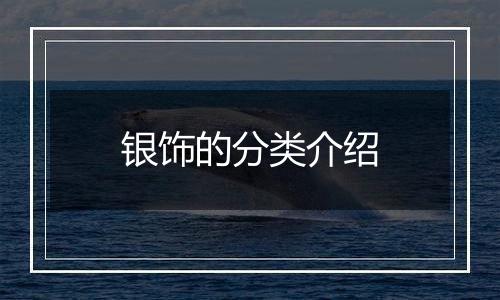 银饰的分类介绍