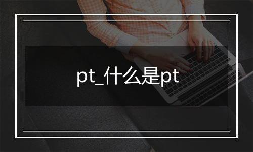 pt_什么是pt