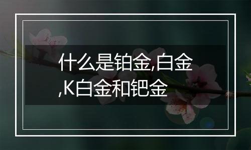 什么是铂金,白金,K白金和钯金