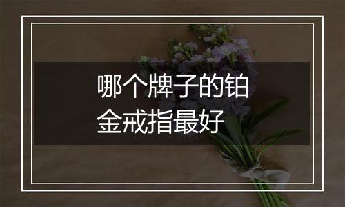 哪个牌子的铂金戒指最好