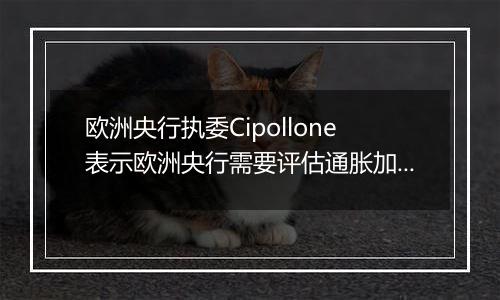 欧洲央行执委Cipollone表示欧洲央行需要评估通胀加速回落的态势