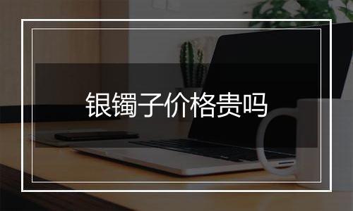 银镯子价格贵吗