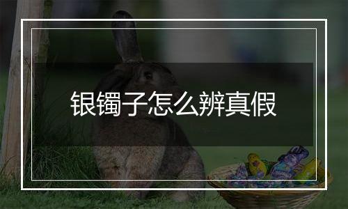 银镯子怎么辨真假