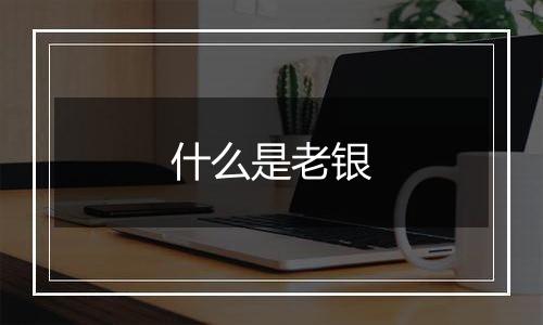什么是老银