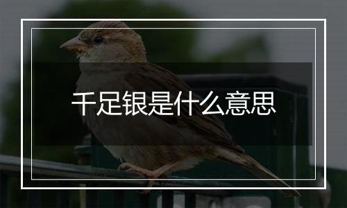 千足银是什么意思