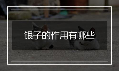 银子的作用有哪些