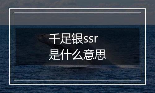 千足银ssr是什么意思