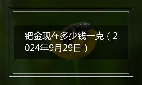 钯金现在多少钱一克（2024年9月29日）