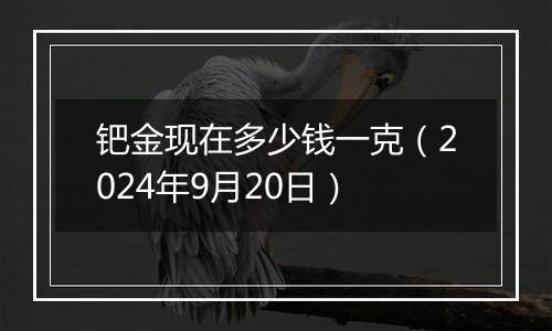 钯金现在多少钱一克（2024年9月20日）